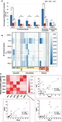 B7-Positive and B7-Negative Acute Myeloid Leukemias Display Distinct T Cell Maturation Profiles, Immune Checkpoint Receptor Expression, and European Leukemia Net Risk Profiles